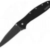 Kershaw Leek Black