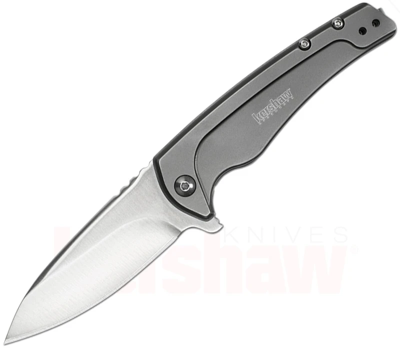 Kershaw Intellect 1 Kershaw Intellect
