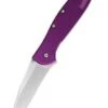 Kershaw Leek Purple